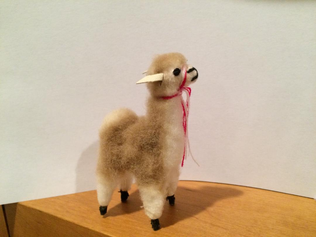 baby mini alpaca