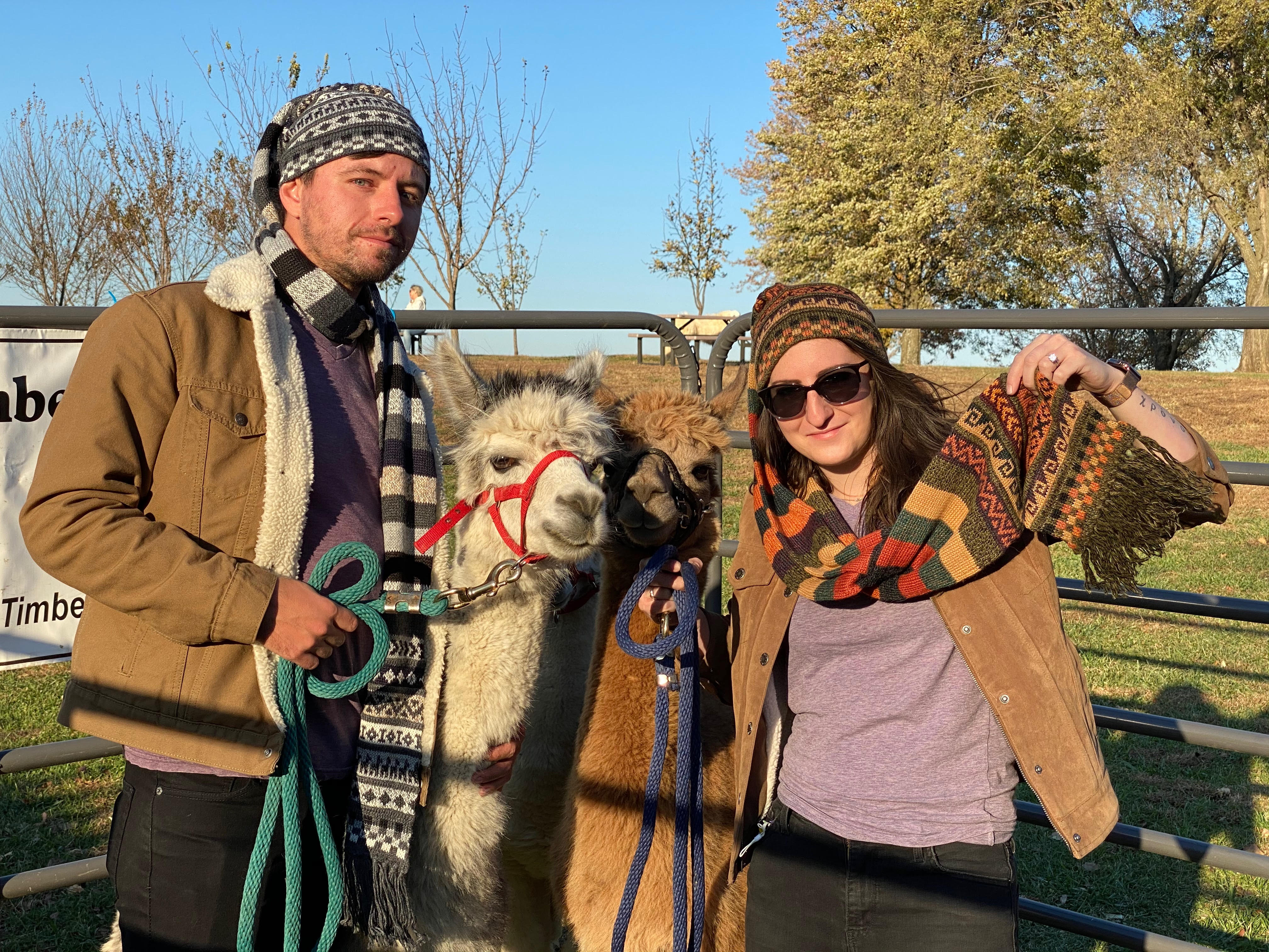 Timber View Farm Alpacas